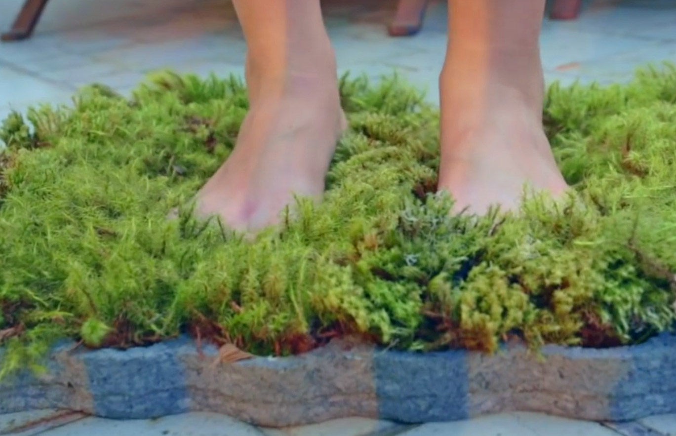 This Moss Shower Mat Lets You Dry Your Feet On Natural Living Moss