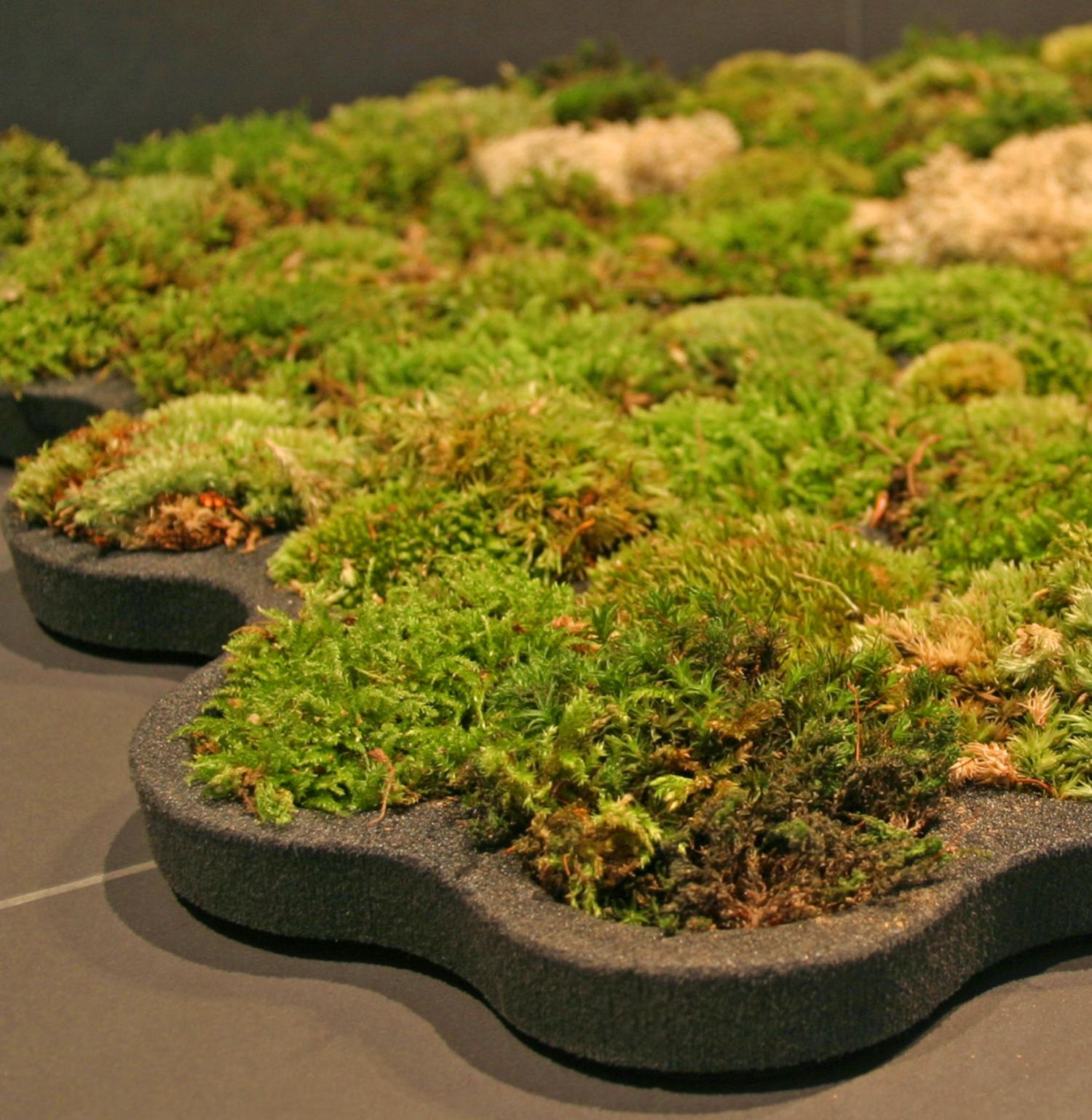 This Moss Shower Mat Lets You Dry Your Feet On Natural Living Moss When