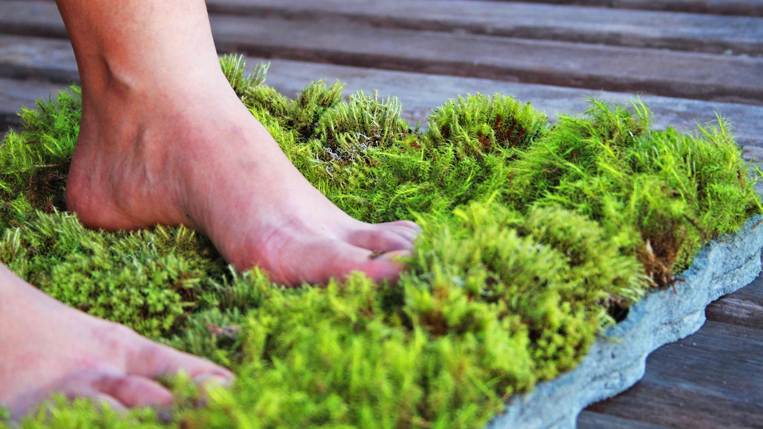 This Moss Shower Mat Lets You Dry Your Feet On Natural Living Moss When  Exiting The Shower