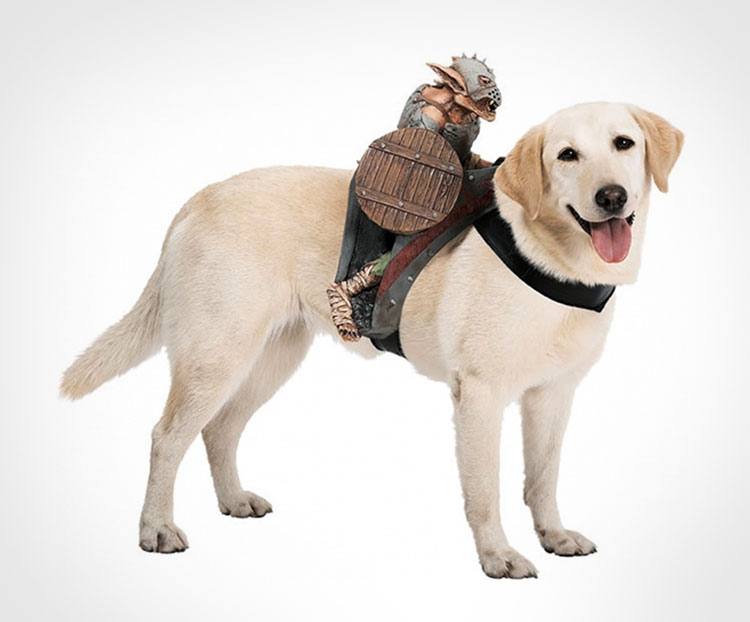 Goblin Dog Rider Costume