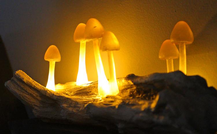 Mushroom Lamp - Realistic tree branch mushroom light