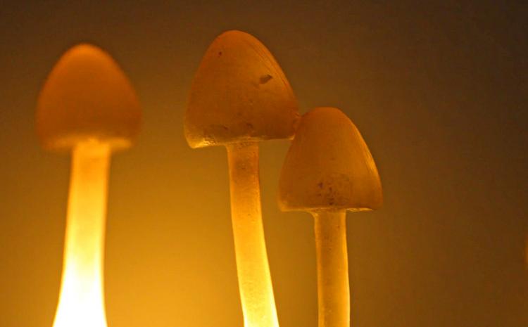 Mushroom Lamp - Realistic tree branch mushroom light