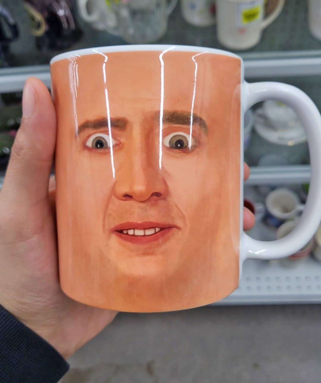 Shrek And Nicolas Cage Face Mugs