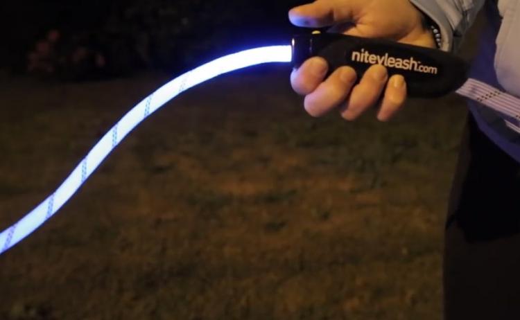 Nitey Leash: LED Light Up Dog Leash Gets You Easily Seen During Night Walks