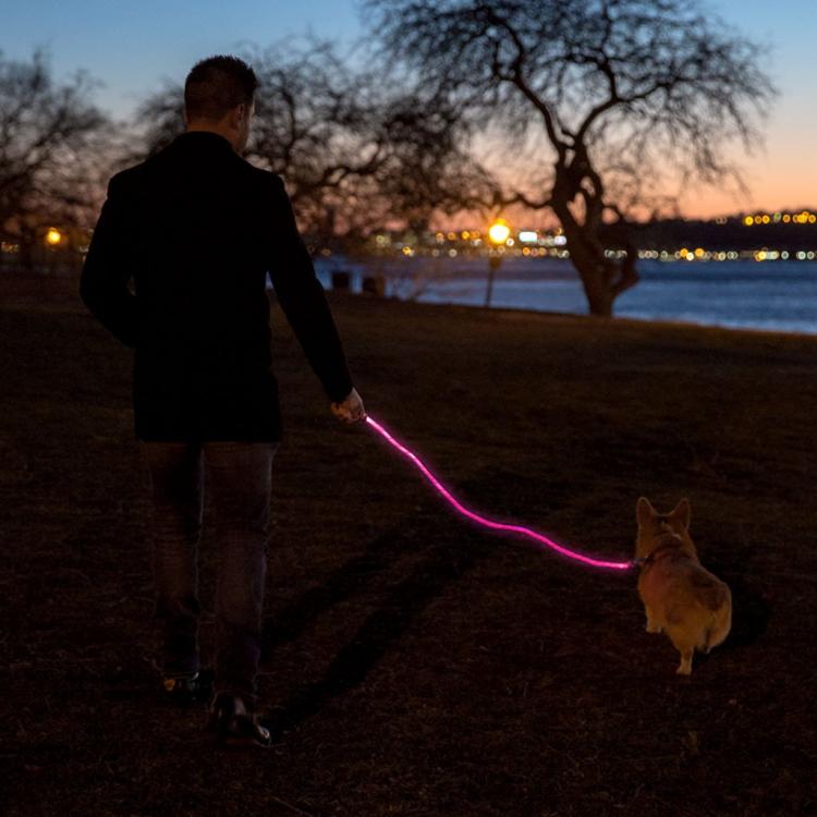 Nitey 2024 leash amazon