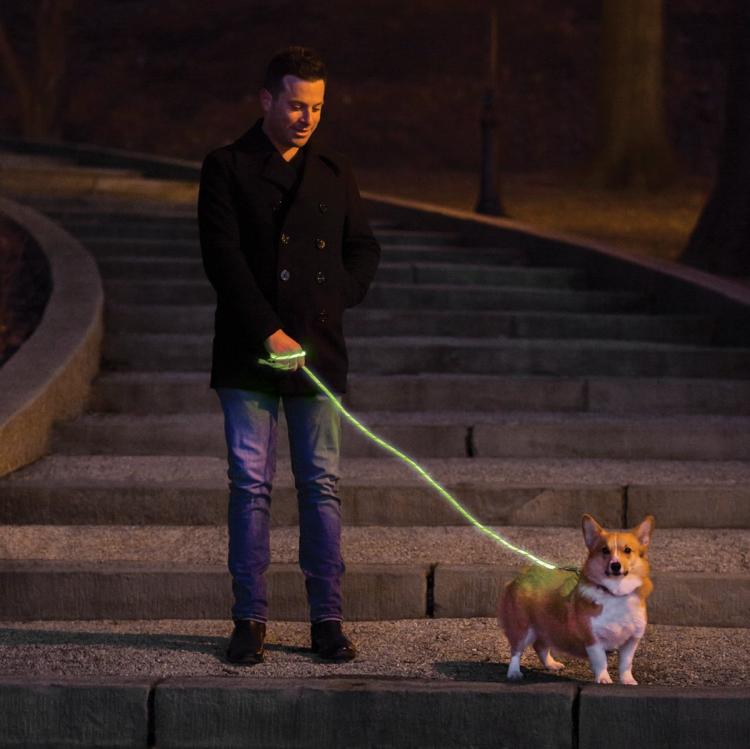 Nitey Leash: LED Light Up Dog Leash Gets You Easily Seen During Night Walks
