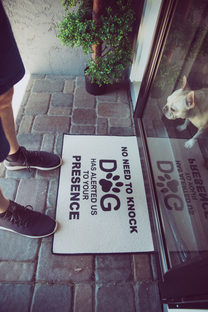 No Need To Knock, The Dogs Have Alerted Us To Your Presence Doormat