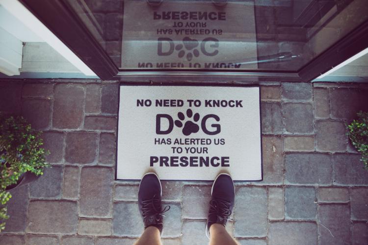 No Need To Knock, The Dogs Have Alerted Us To Your Presence Doormat