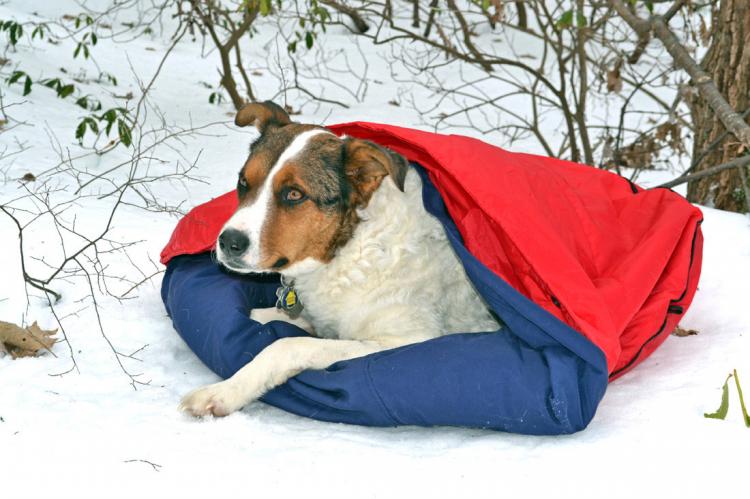 Noblecamper Dog Sleeping Bag and Bed
