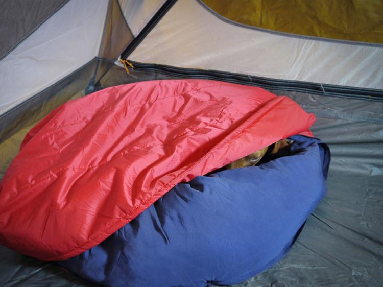 Noblecamper Dog Sleeping Bag and Bed