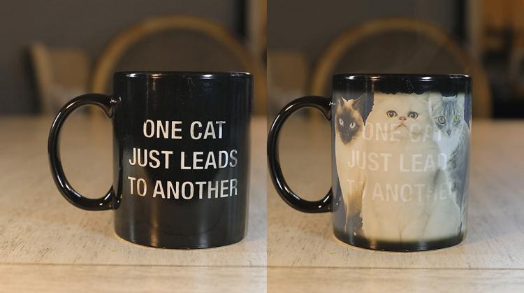 One Cat Leads To Another Heat Changing Mug - Cat Lady Mug - Funny Cat Owner Coffee Mug