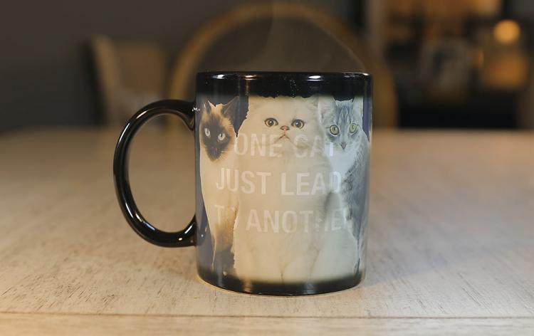 One Cat Leads To Another Heat Changing Mug - Cat Lady Mug - Funny Cat Owner Coffee Mug