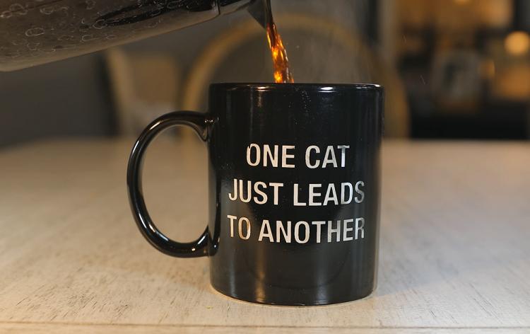 One Cat Leads To Another Heat Changing Mug - Cat Lady Mug - Funny Cat Owner Coffee Mug