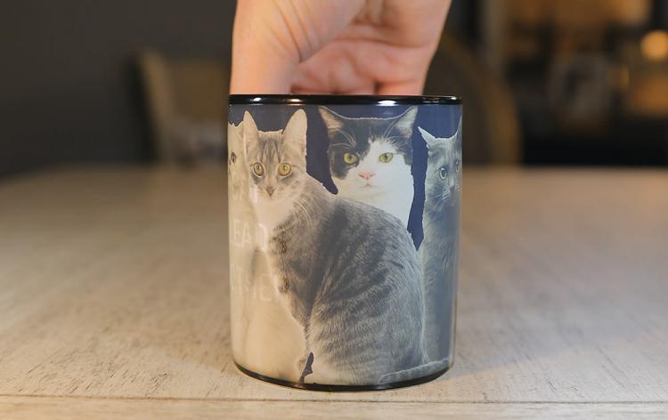 https://odditymall.com/includes/content/upload/one-cat-leads-to-another-heat-change-mug-5533.jpg