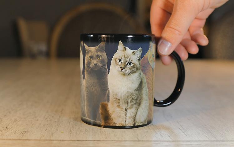 One Cat Leads to Another Magic Heat-Changing Coffee Mug