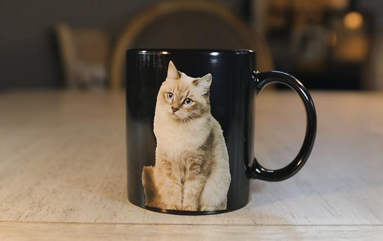 One Cat Leads to Another Magic Heat-Changing Coffee Mug