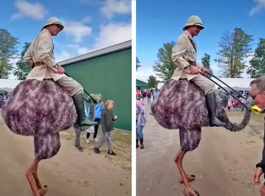 This Ostrich Stilts Costume Is The Most Epic Halloween Costume Idea Ever