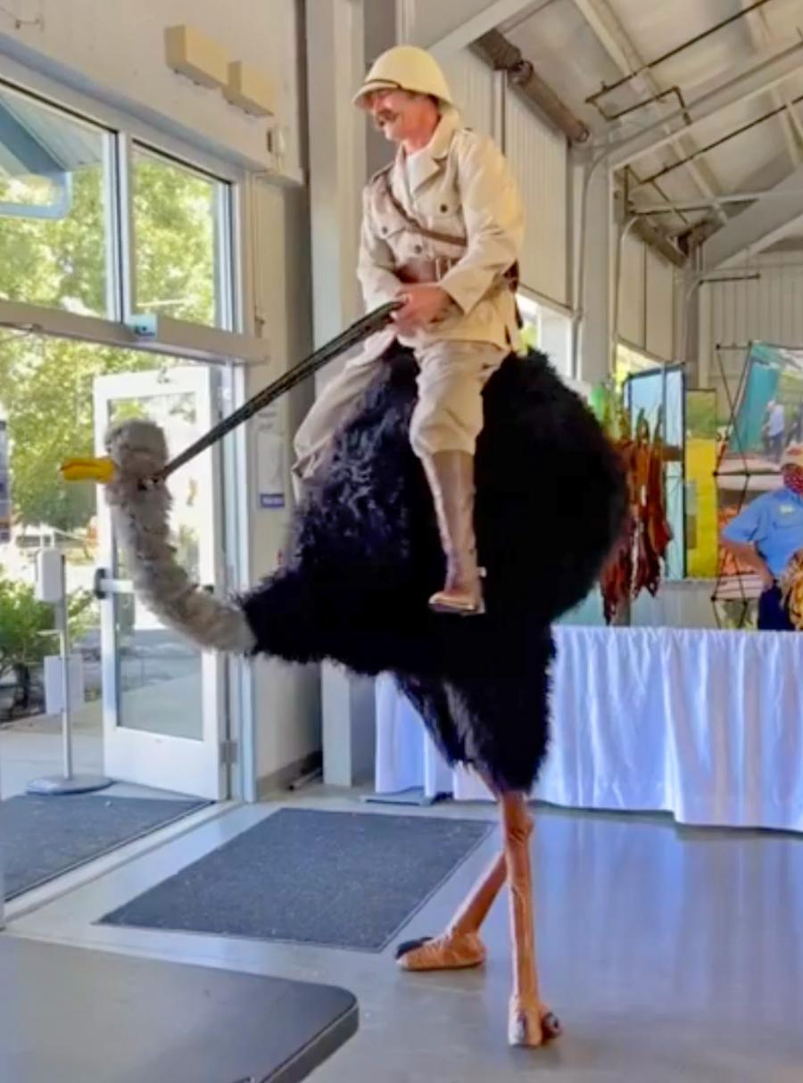Ostrich Stilts Costume