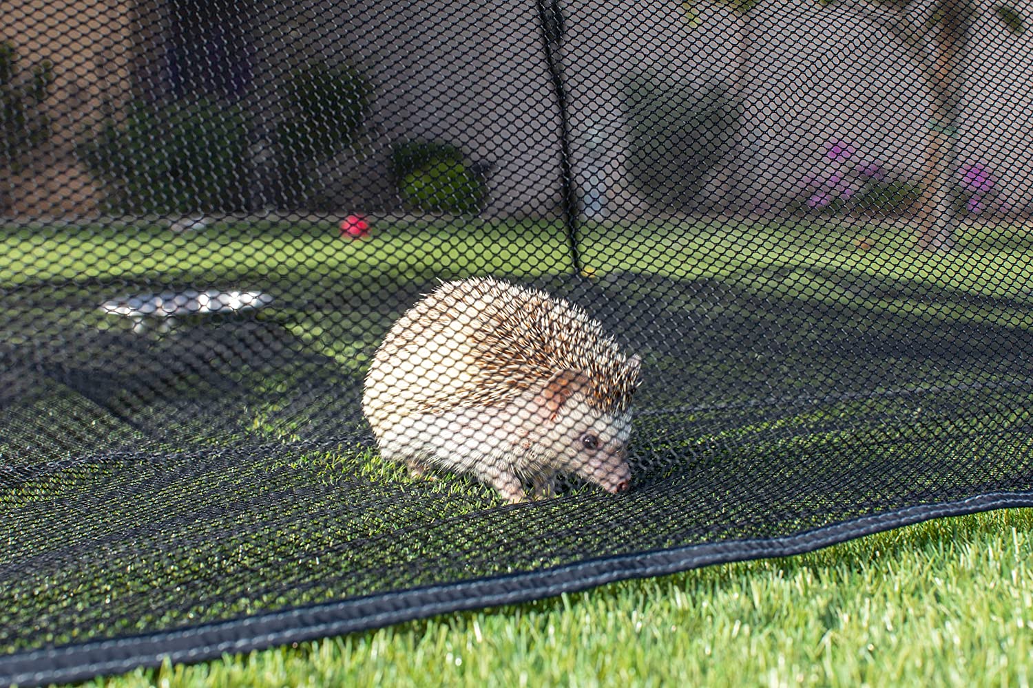 cat tunnel and tent for outside