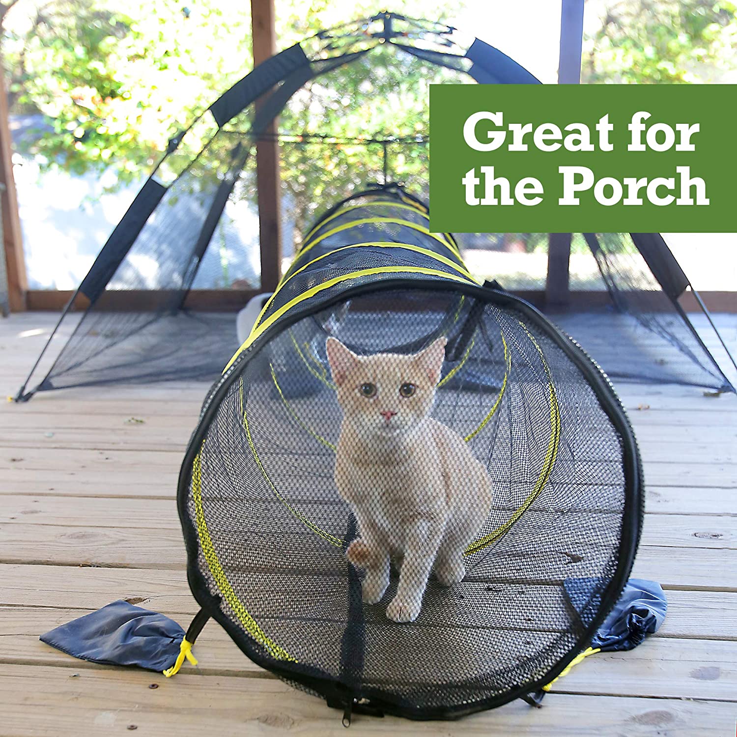 cat play tent