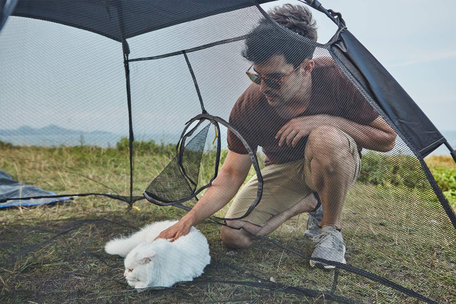 cat tunnel and tent for outside