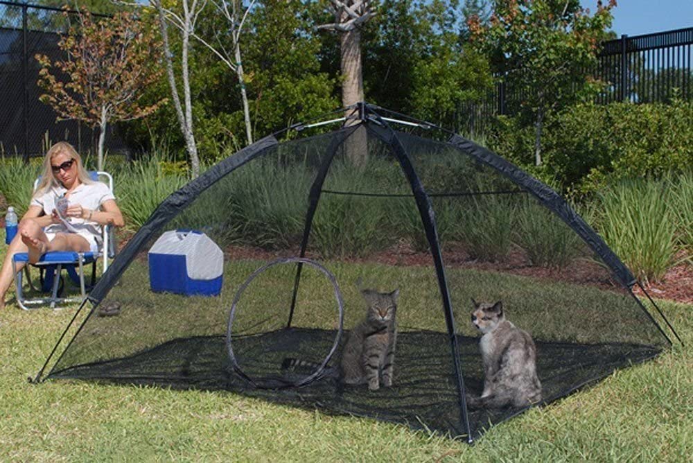 Abo 2024 cat tent