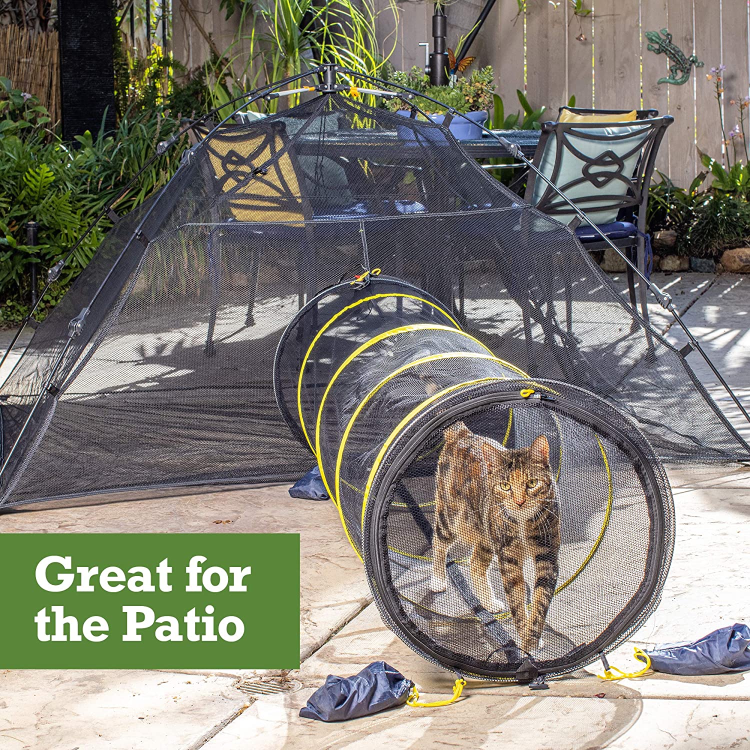 Outdoor cat clearance tent with tunnel