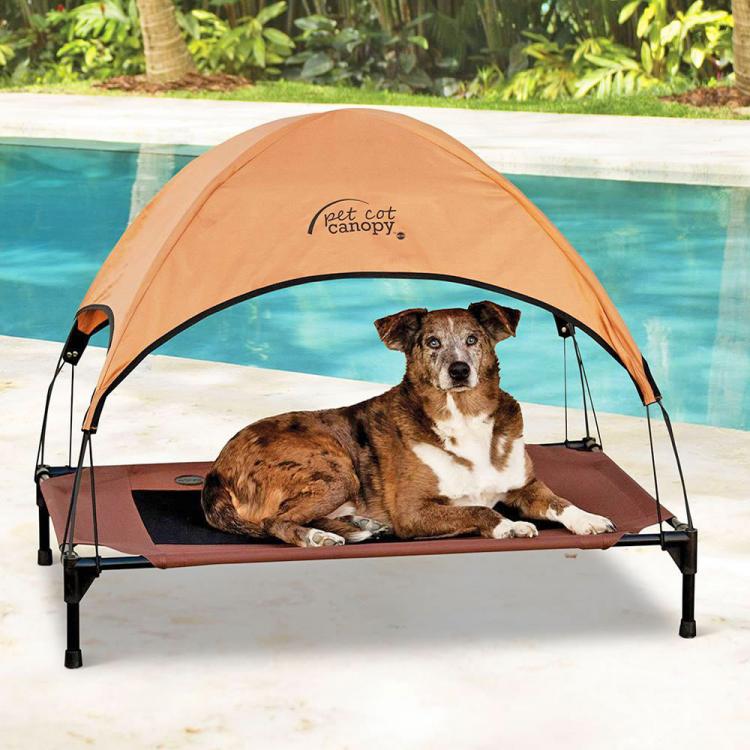 Outdoor dog lounger with canopy sale