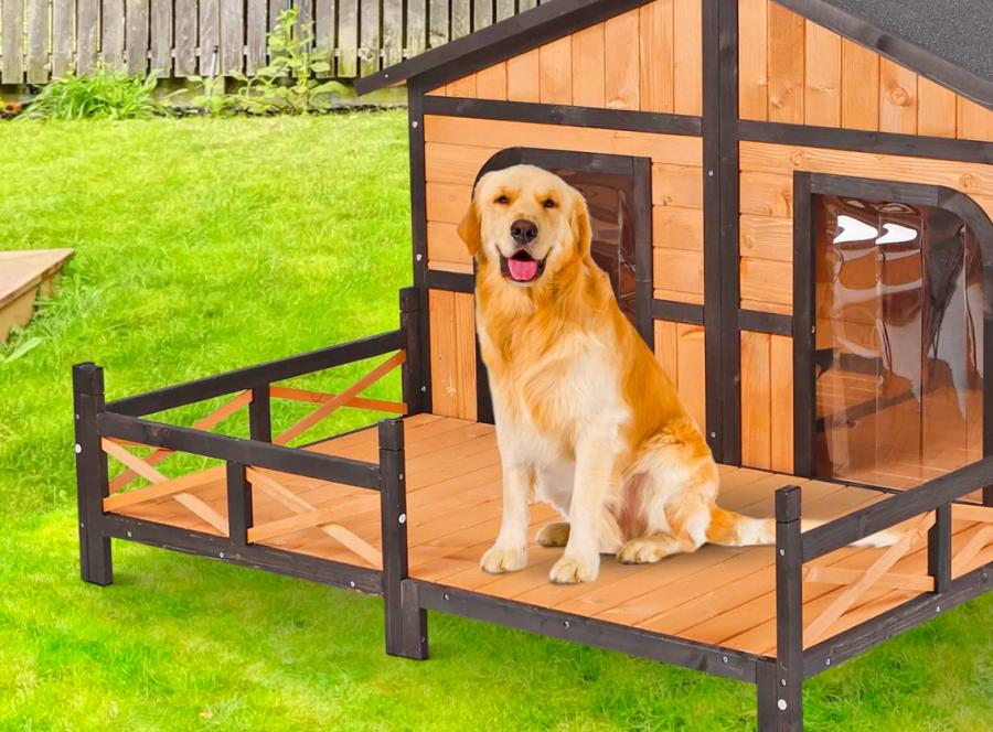 Outdoor Double Doghouse With a Deck