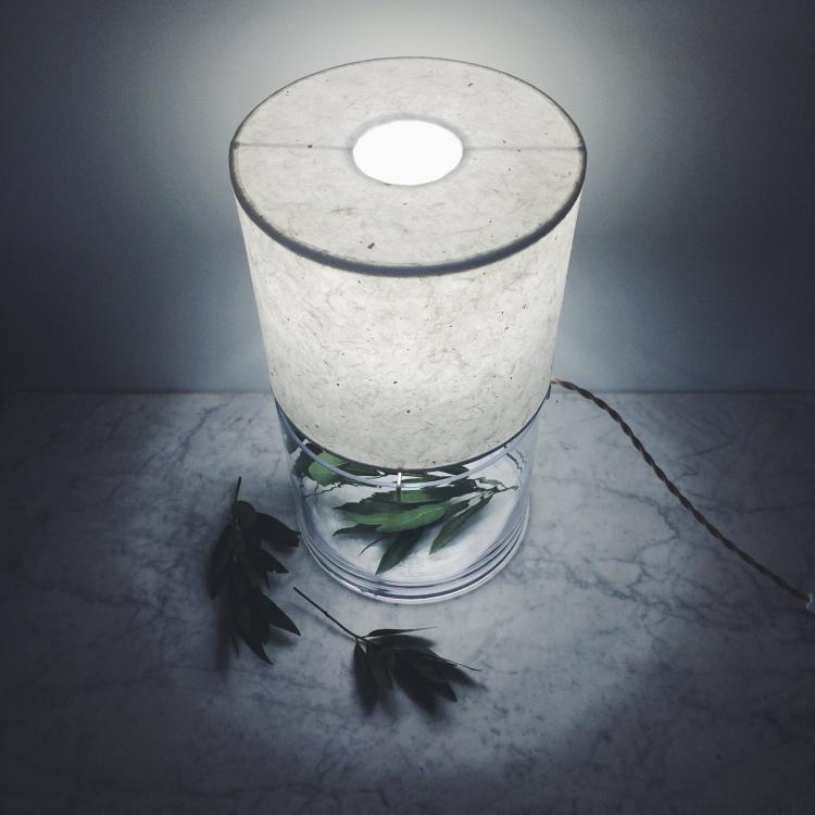 Handmade Paper Lampshade Table Lamp With Glass Plant Terrarium