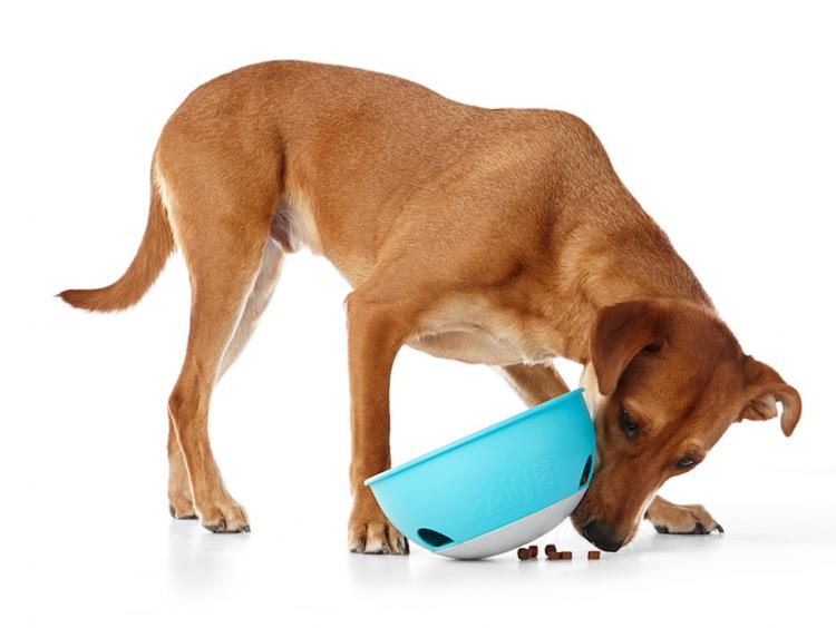 https://odditymall.com/includes/content/upload/paw5-rock-n-bowl-dog-puzzle-5717.jpg