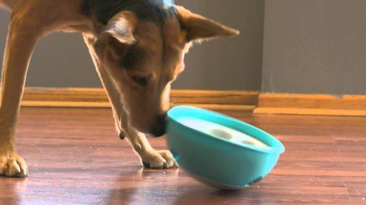 PAW5 Dog Bowl Rolling Puzzle - Slow Feed Dog Bowl