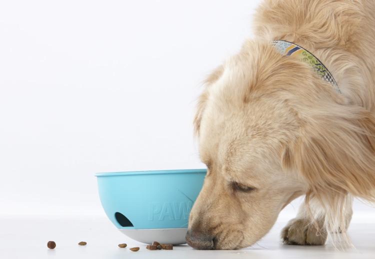 This Rocking Dog Bowl Food Puzzle Helps Slow Down Your Dogs Fast Eating