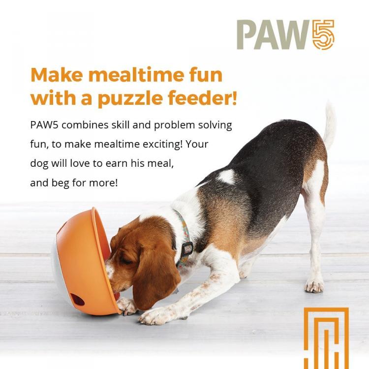 FUN FEEDER DOG BOWLS - Paws on Chicon