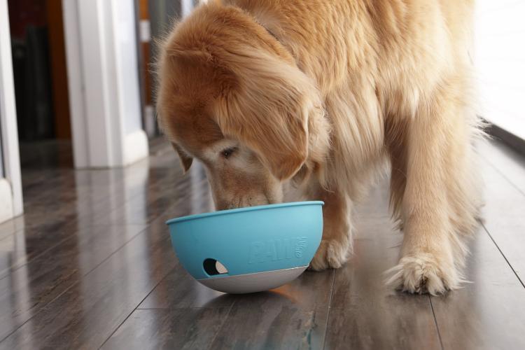 PAW5 Rock N' Bowl Puzzle Feeder Slow Feeding Dog Bowl