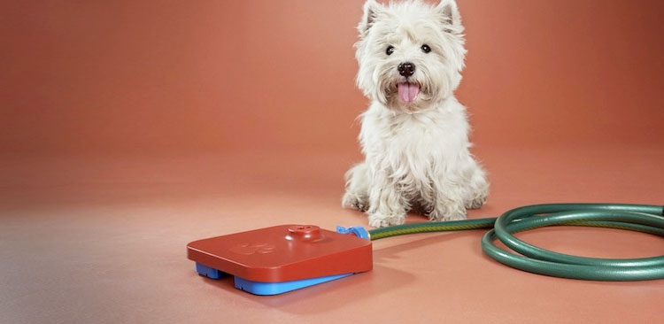 Pawcet Dog Drinking Fountain