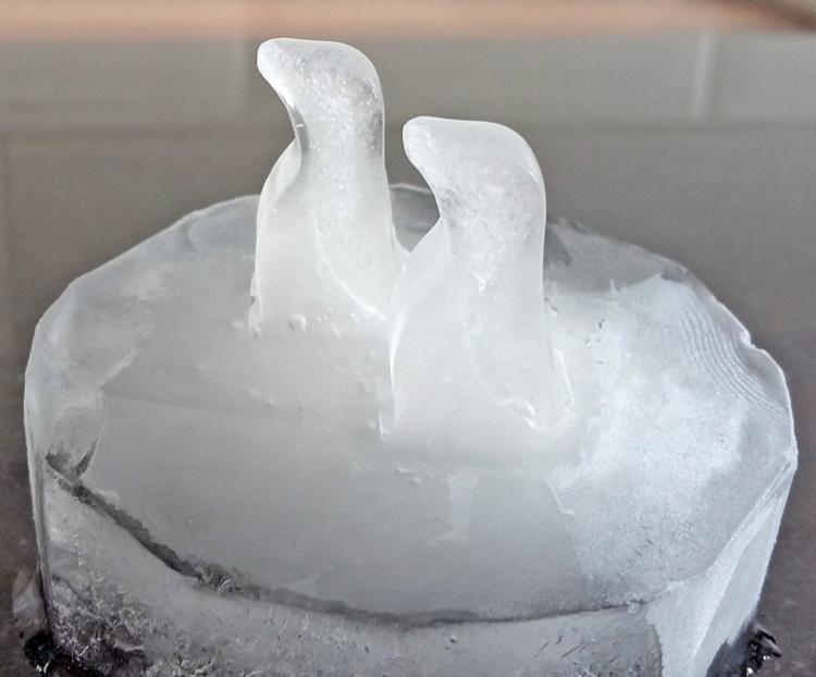 These Arctic Ice Molds Show Polar Bears and Penguins Walking On