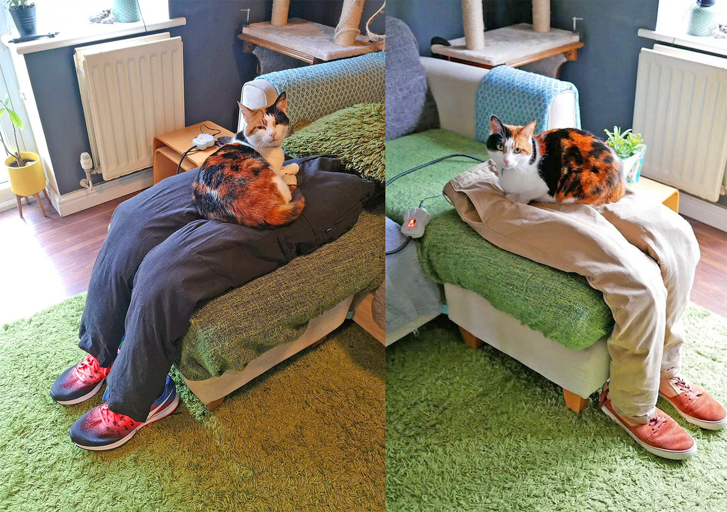 fake human decoy lap for cats - Fake stuffed pants with heated mat for cats