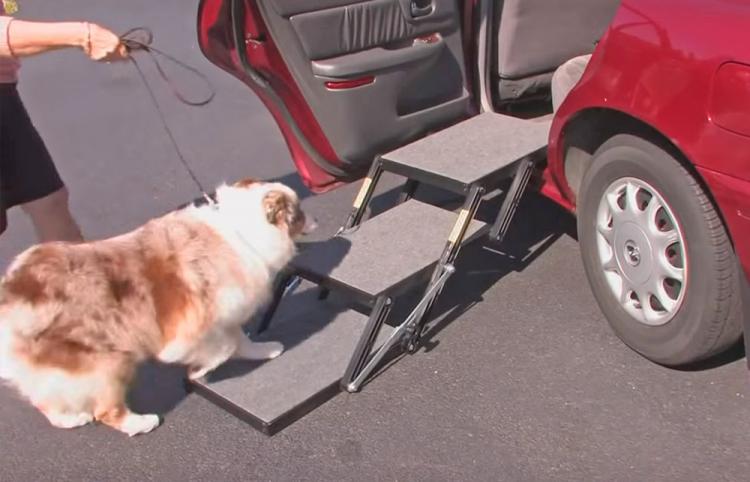 These Portable Pet Loader Stairs Help Small Or Elderly Dogs Into The Car