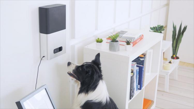 PetCube Bites - Interactive Pet Camera That Flings Treats - Treat launching pet camera