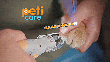 Peticare: Pet Nail Clipper With LED Light That Illuminates Nail Quick - Best dog nail clipper