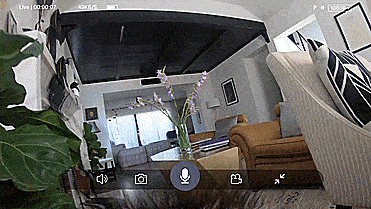 PetNow Smart Pet Camera - POV first person remote dog camera