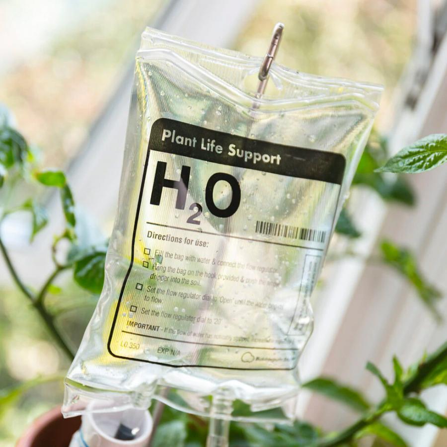 House Plant Watering IV Bag