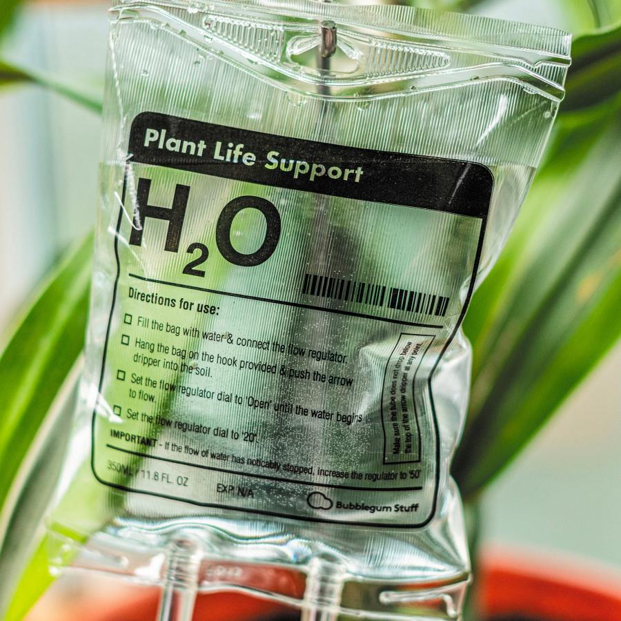 House Plant Watering IV Bag