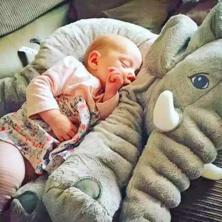 baby elephant teddy pillow