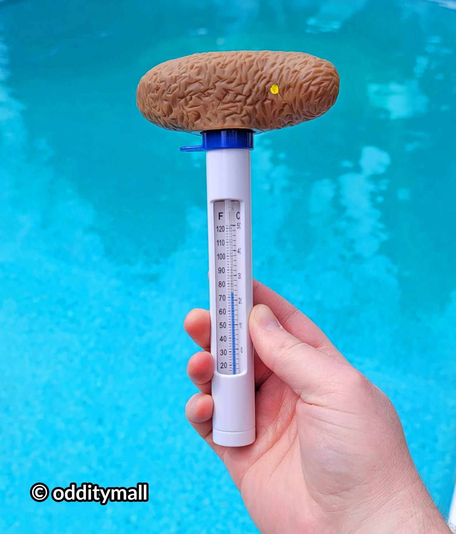 Poop Shaped pool thermometer - poo thermometer