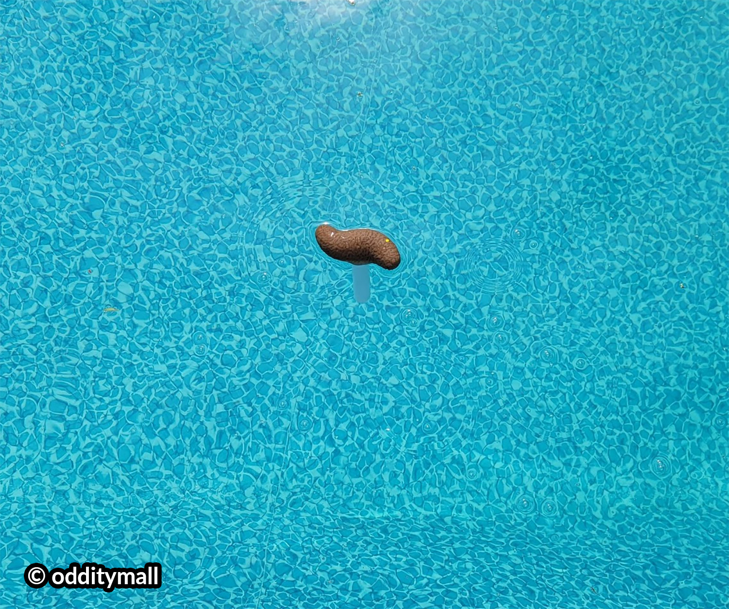 This Pool Thermometer Looks Like a Floating Poo