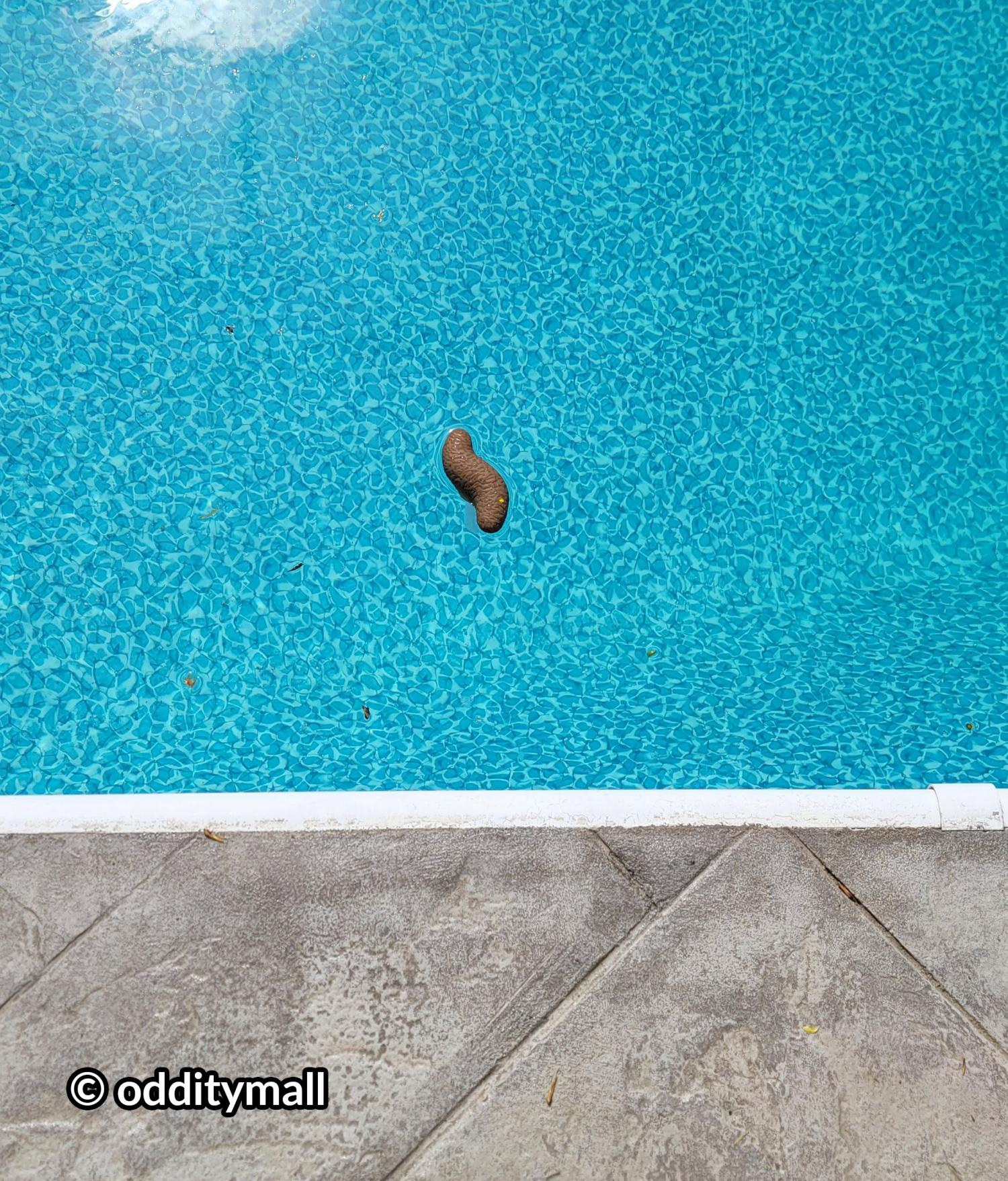 Poop Shaped pool thermometer - poo thermometer