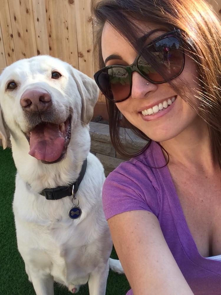 Pooch Selfie - Smart Phone Ball Holder For Dog Selfies