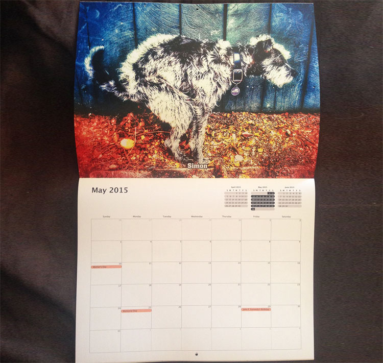Pooping Dogs Calendar 2015